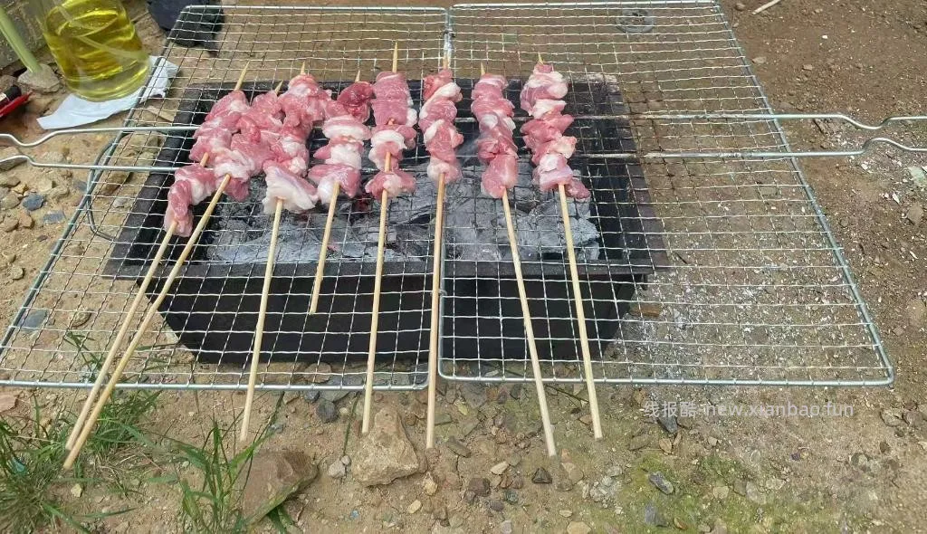 朋友们，又到了烧烤的季节 - 线报酷