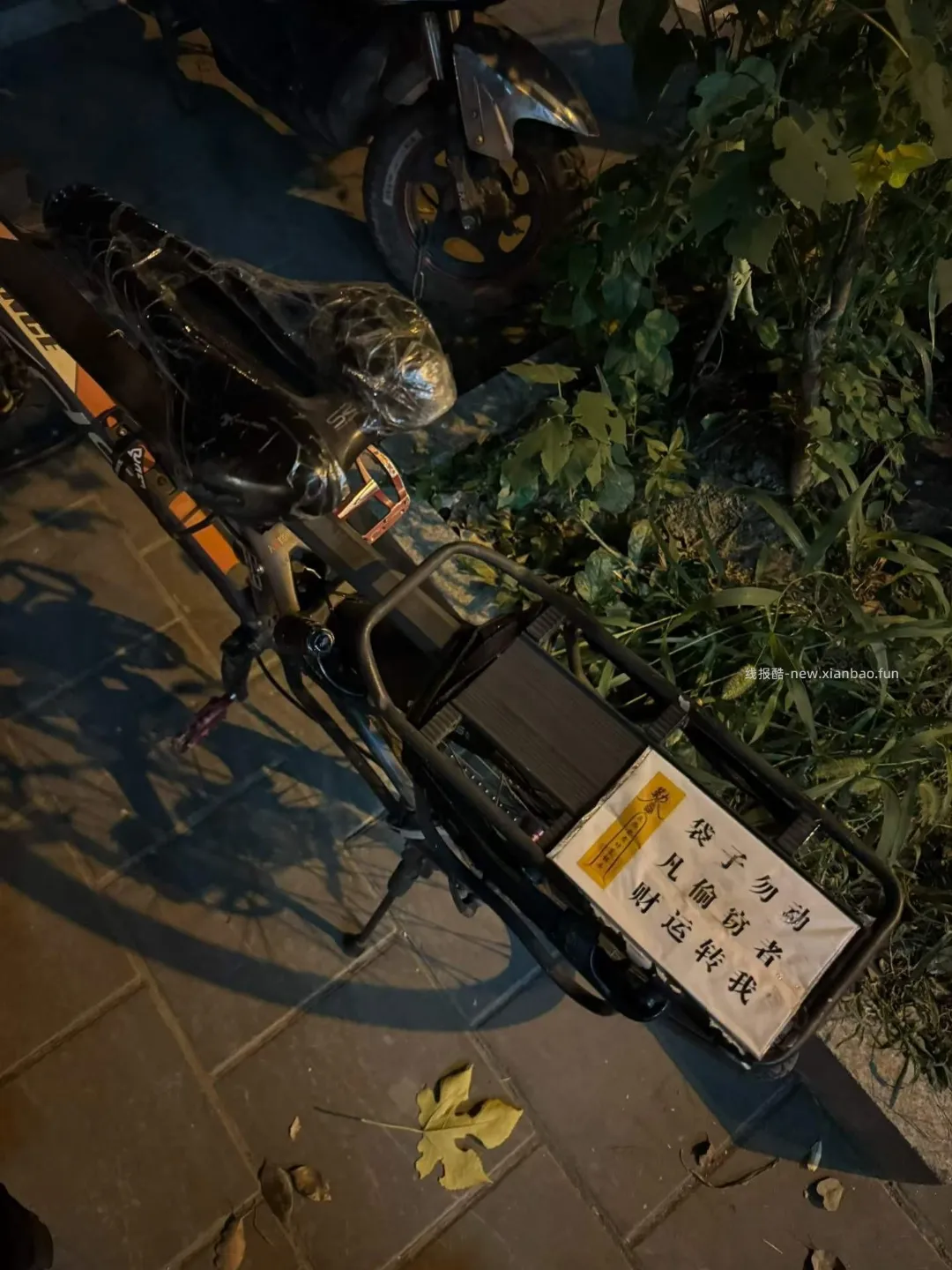 真是玄学，两次袋子被偷的这天都大涨 - 线报酷