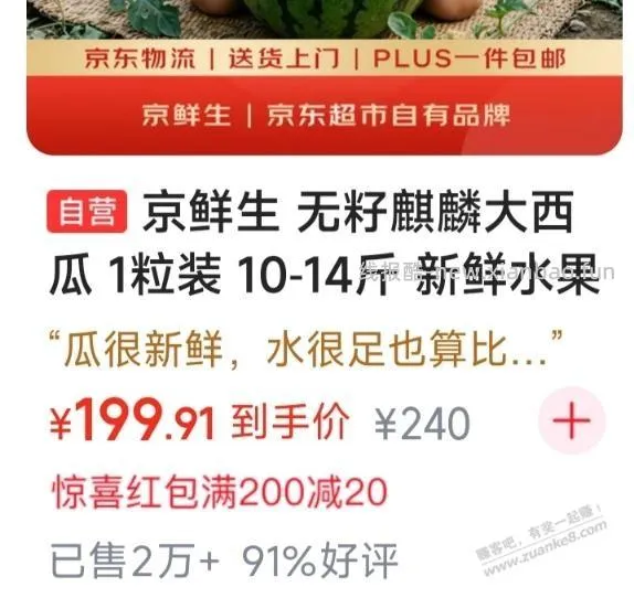 昨天的西瓜199元一个了 - 线报酷
