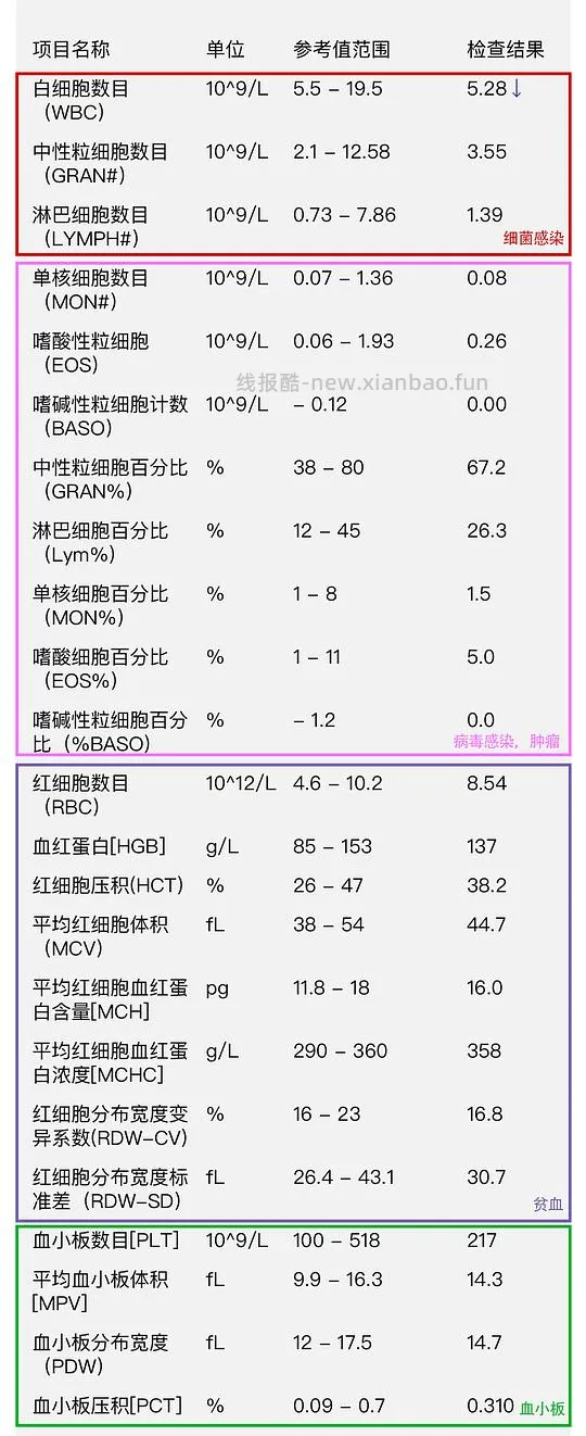 【科普】猫咪年度体检都检了些啥 - 线报酷