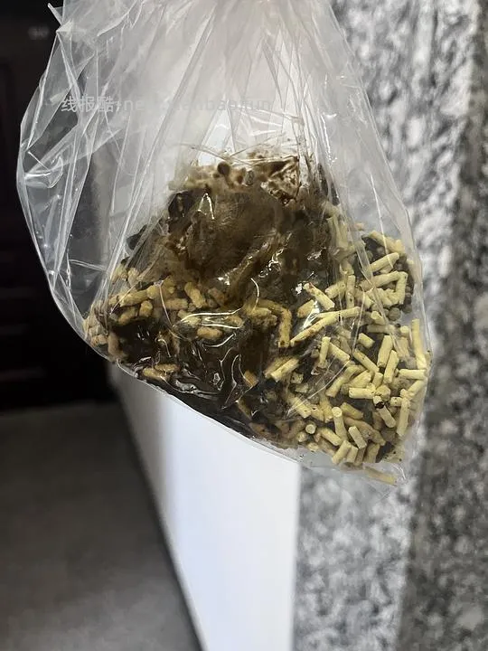 讨论/【科普】车前壳子粉太好用了吧啊啊啊 - 线报酷