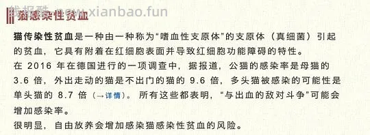 【科普】日本养猫科普网站关于为什么不能散养的文章 - 线报酷
