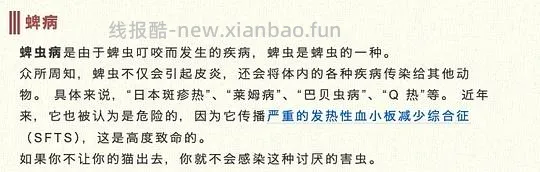【科普】日本养猫科普网站关于为什么不能散养的文章 - 线报酷