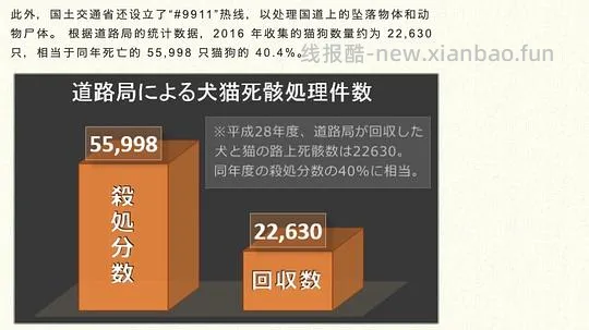 【科普】日本养猫科普网站关于为什么不能散养的文章 - 线报酷