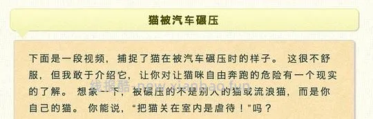 【科普】日本养猫科普网站关于为什么不能散养的文章 - 线报酷