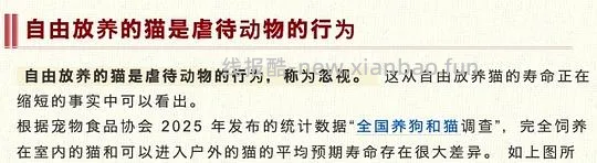 【科普】日本养猫科普网站关于为什么不能散养的文章 - 线报酷