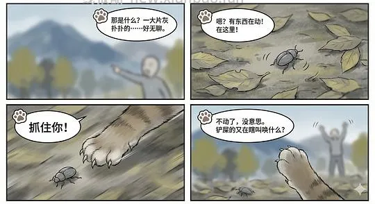 讨论/【科普】养猫科普漫画，不定期更新中（2.10 更新封窗、新手养猫误区科普） - 线报酷
