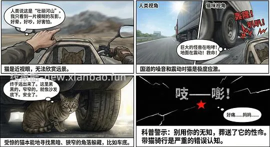 讨论/【科普】养猫科普漫画，不定期更新中（2.10 更新封窗、新手养猫误区科普） - 线报酷