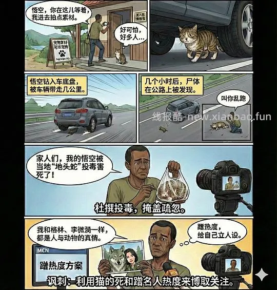 讨论/【科普】养猫科普漫画，不定期更新中（2.10 更新封窗、新手养猫误区科普） - 线报酷