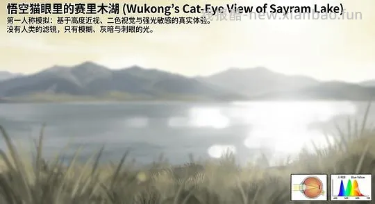 讨论/【科普】养猫科普漫画，不定期更新中（2.10 更新封窗、新手养猫误区科普） - 线报酷