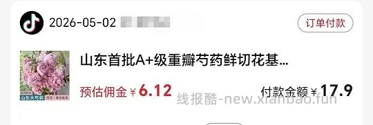 3.8买5支山东芍药 - 线报酷