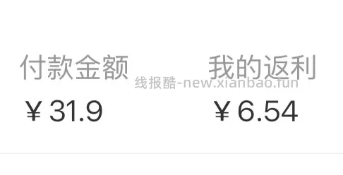 5.36买2个泰国暹罗柚 - 线报酷