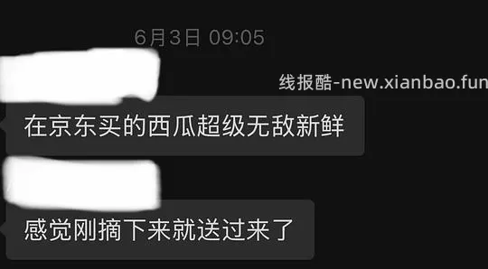 西瓜人速来！14.9元5～7斤 - 线报酷