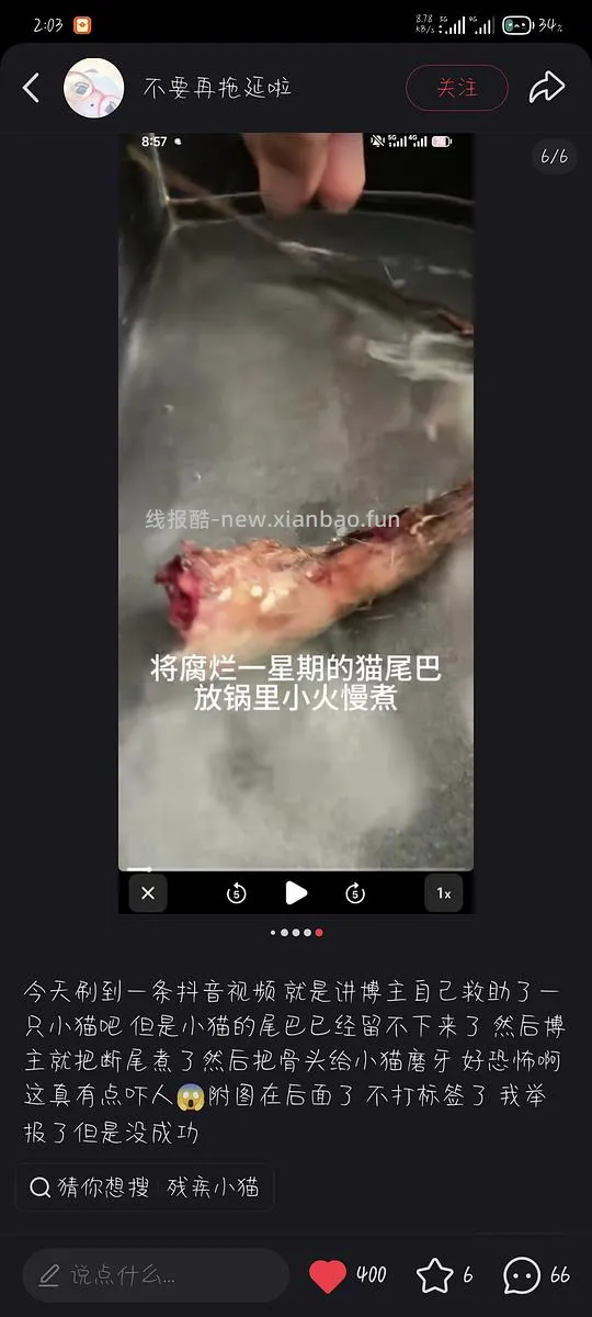 【讨论】虐猫博主重出江湖，给猫吃自己的断尾 - 线报酷