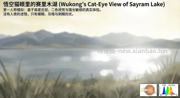 讨论/【科普】养猫科普漫画，不定期更新中（2.10 更新封窗、新手养猫误区科普） - 线报酷