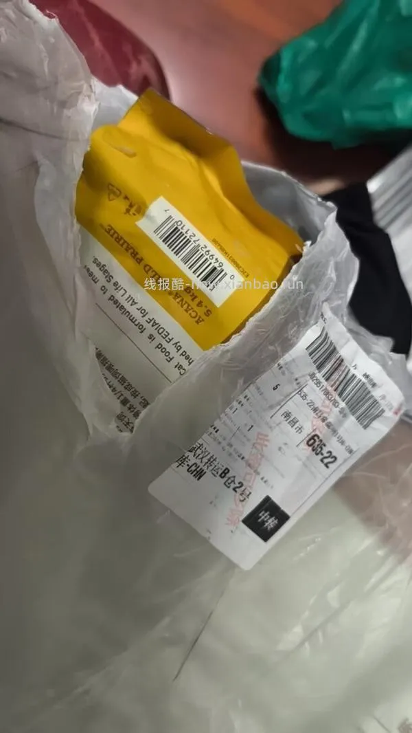 爱肯拿5.4㎏ 300（更低280了） - 线报酷