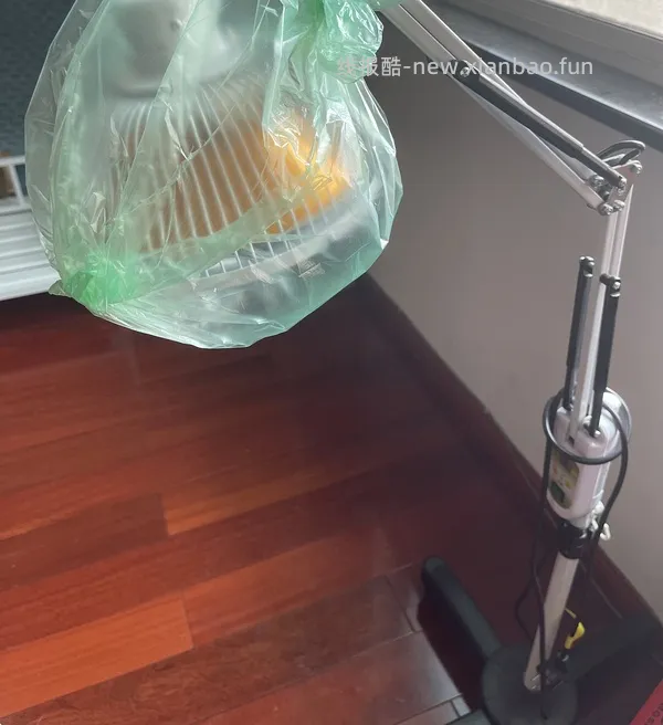 讨论｜【科普】一些关于狗狗关节炎的知识信息分享与科普（症状/缓解病情的方法） - 线报酷