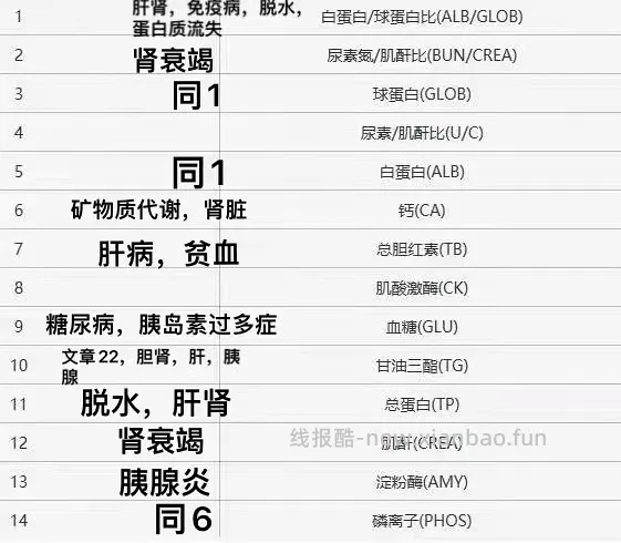 【科普】猫咪年度体检都检了些啥 - 线报酷