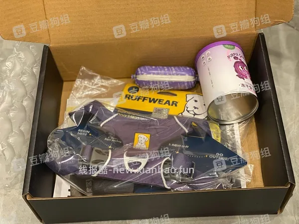 【车回】神车‼️手把手教程最低165买拉夫嗨轻‼️ - 线报酷