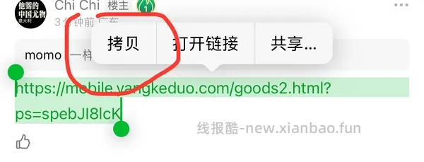 （车走） 小玩具 polly plus80r，pro93r - 线报酷