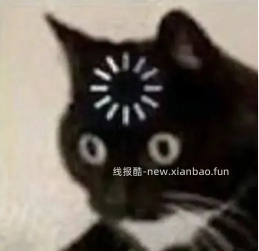 更低了！朗诺鸡脖14每包需plus - 线报酷