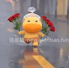 几毛钱一个好看的帆布袋 or 一本书📖 - 线报酷
