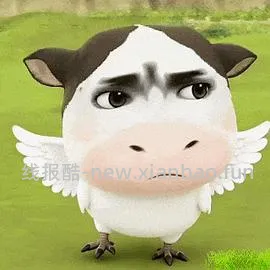 朗诺鸡肉冻干好价（1kg*2+一堆赠品） - 线报酷