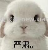 20特步女鞋 - 线报酷