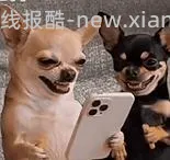 车跑了 京东维达超韧Plus挂抽3层280抽*8提M码 超好价26元 - 线报酷